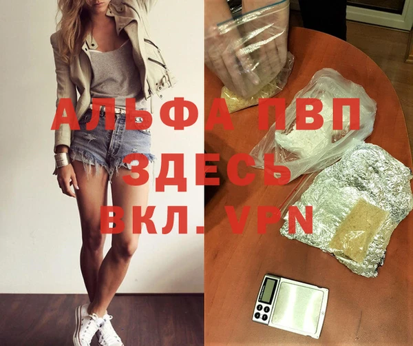 шишки Ростов
