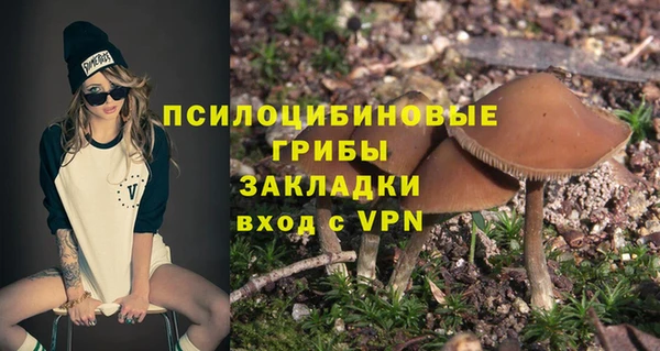 шишки Баксан
