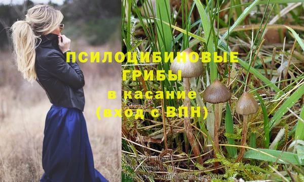 шишки Баксан