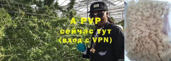 шишки Баксан