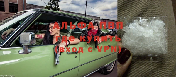 шишки Баксан