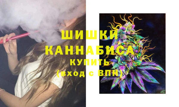 шишки Баксан
