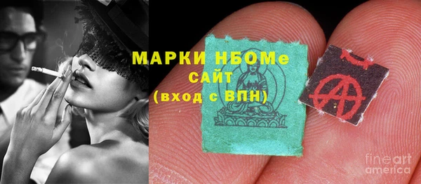 шишки Баксан
