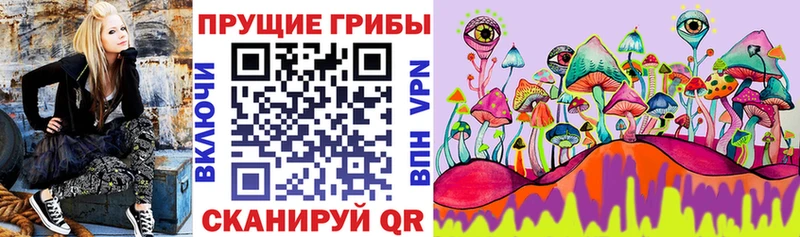 Псилоцибиновые грибы Cubensis  магазин  наркотиков  Малая Вишера 